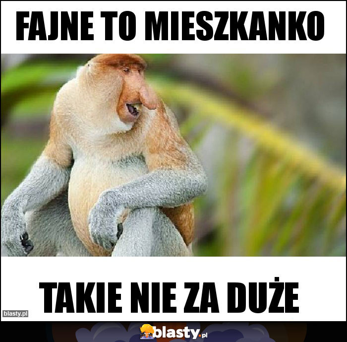 Fajne to mieszkanko