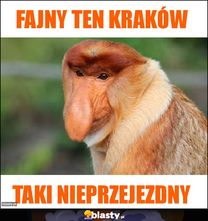 Fajny ten Kraków