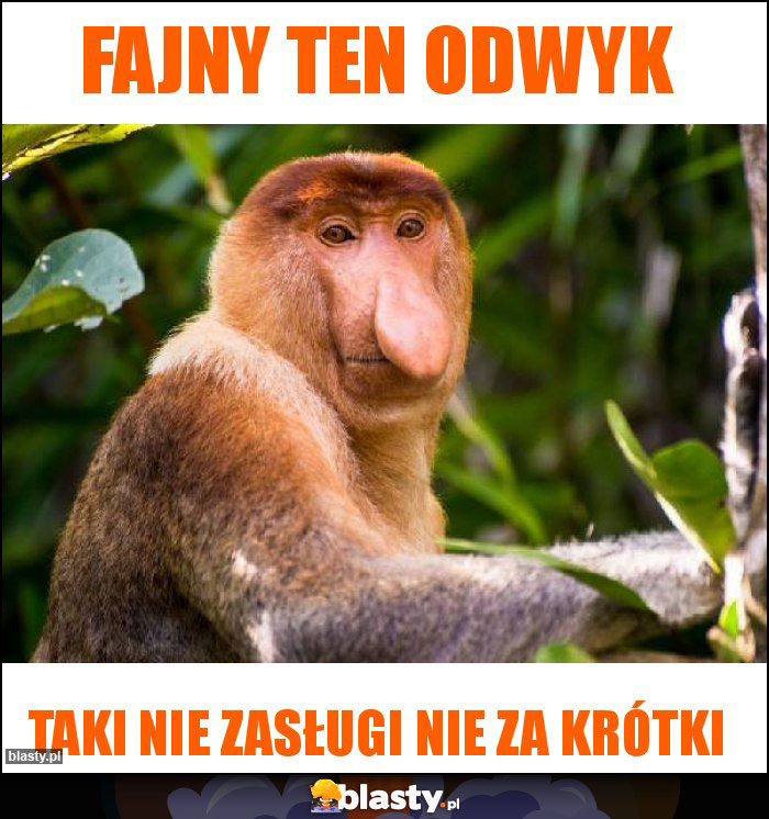 Fajny ten odwyk