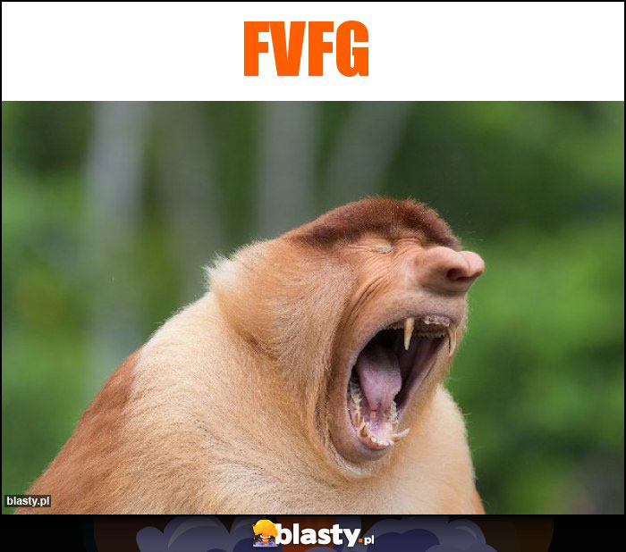 fvfg