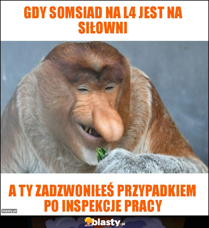 Gdy somsiad na L4 jest na siłowni