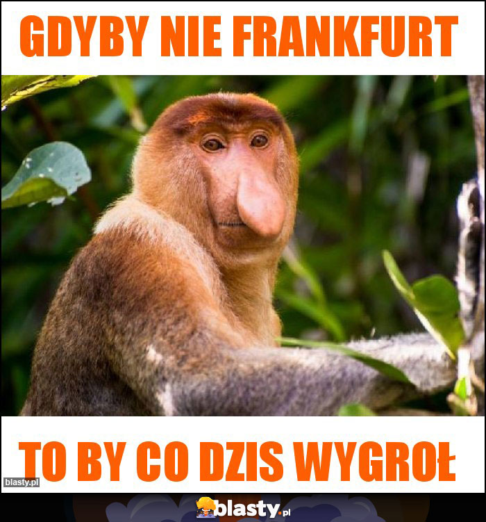 GDYBY NIE FRANKFURT