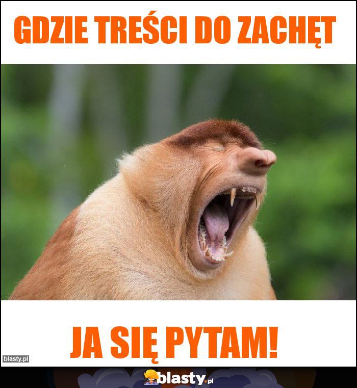 Gdzie treści do zachęt