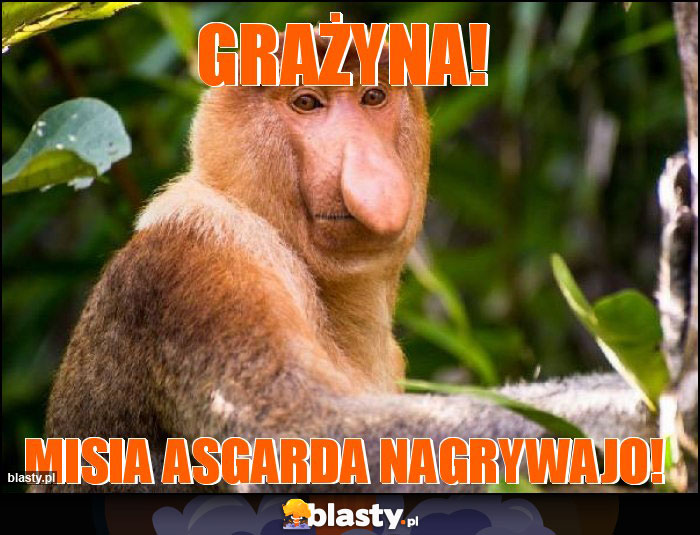 GRAŻYNA!