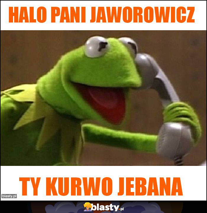 Halo Pani Jaworowicz