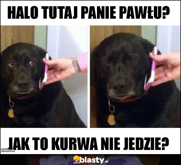 Halo tutaj panie pawłu?