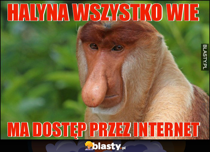 HALYNA WSZYSTKO WIE