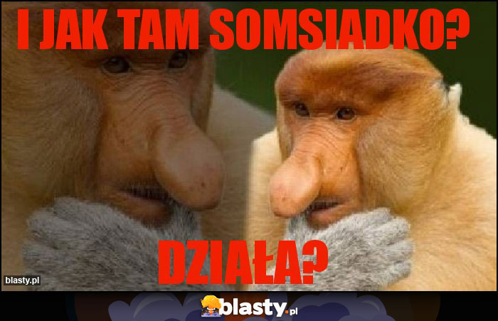 I jak tam somsiadko?