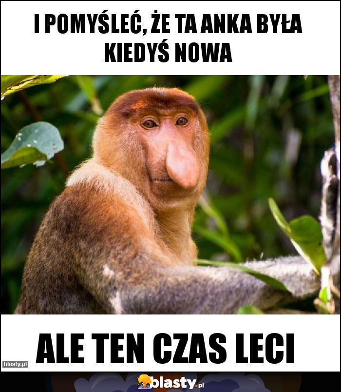 I POMYŚLEĆ, że ta Anka była kiedyś nowa