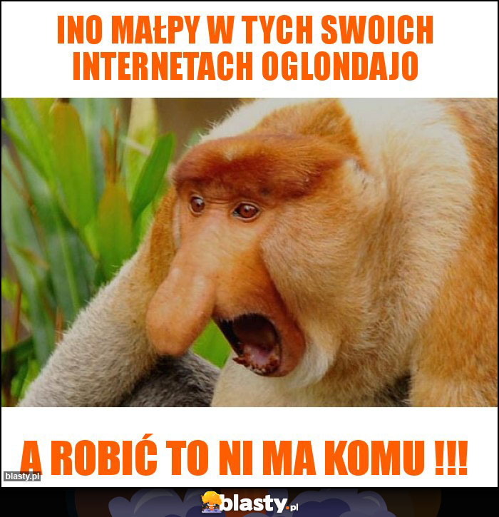 Ino małpy w tych swoich internetach oglondajo