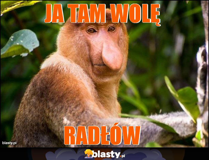 Ja tam wolę