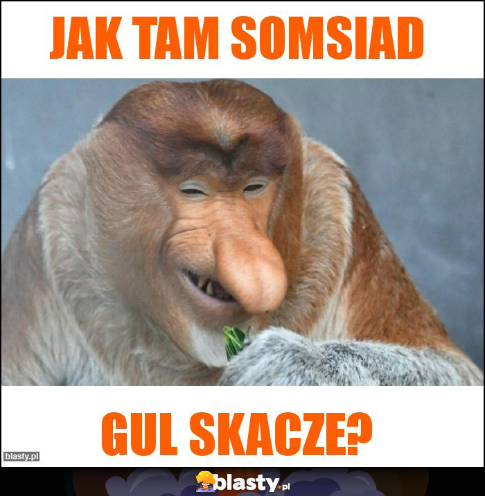 JAK TAM SOMSIAD