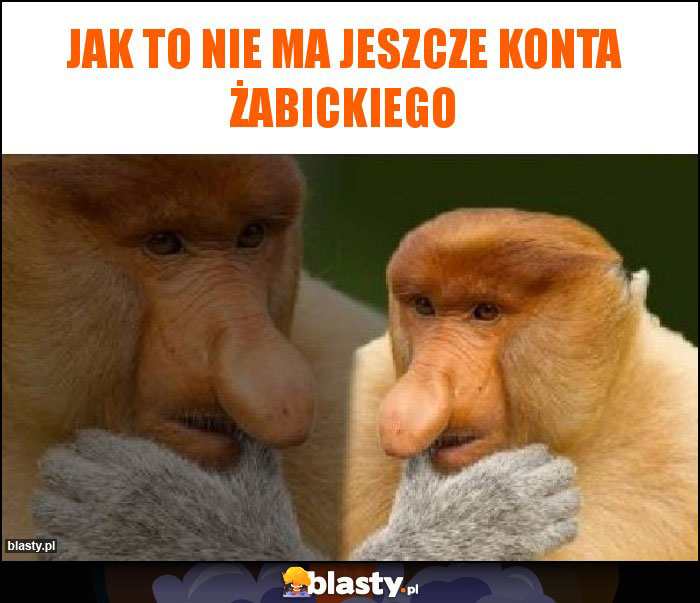 Jak to nie ma jeszcze konta Żabickiego