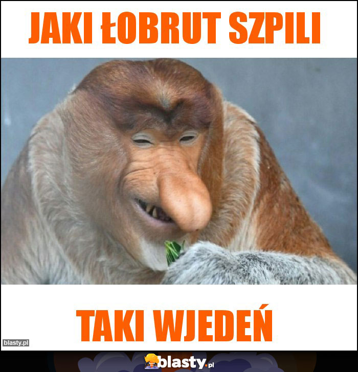 JAKI ŁOBRUT SZPILI