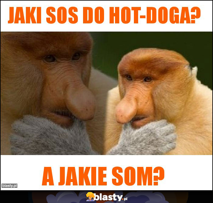 Jaki sos do hot-doga?