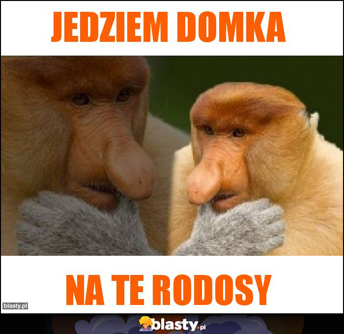 Jedziem Domka