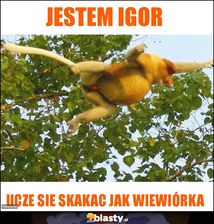 Jestem Igor