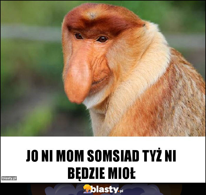 Jo ni mom somsiad tyż ni będzie mioł