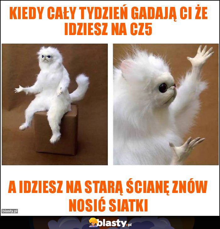 KIEDY CAŁY TYDZIEŃ GADAJĄ CI ŻE IDZIESZ NA CZ5