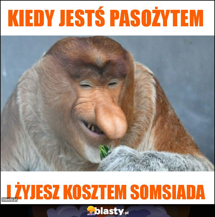 kiedy jestś pasożytem