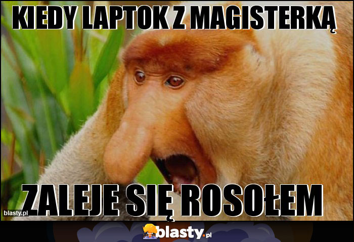 KIEDY LAPTOK Z MAGISTERKĄ