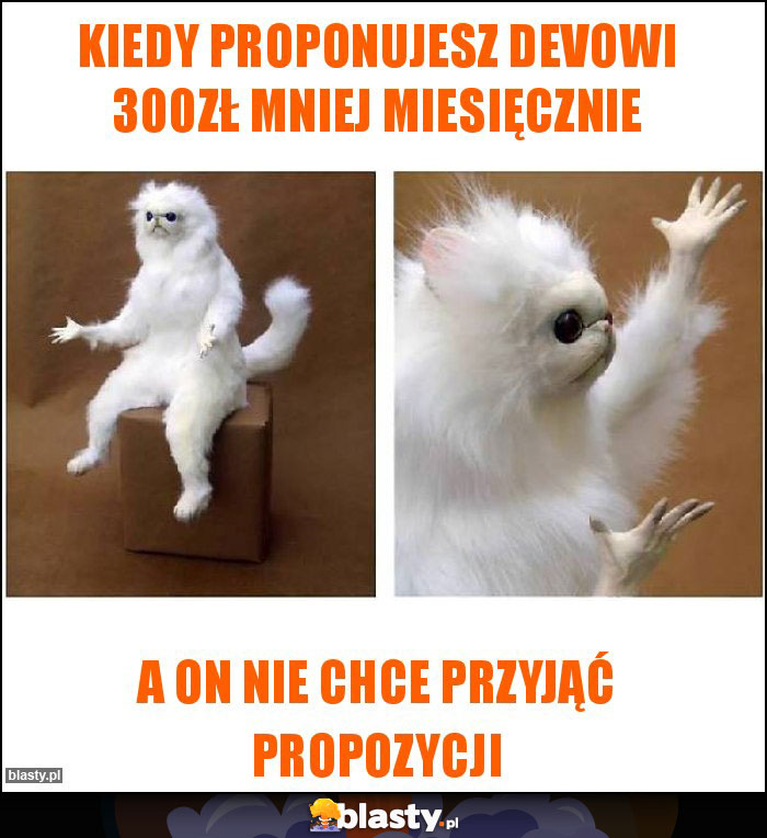 KIEDY PROPONUJESZ DEVOWI 300ZŁ MNIEJ MIESIĘCZNIE