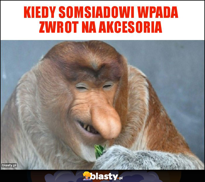 Kiedy Somsiadowi wpada zwrot na akcesoria