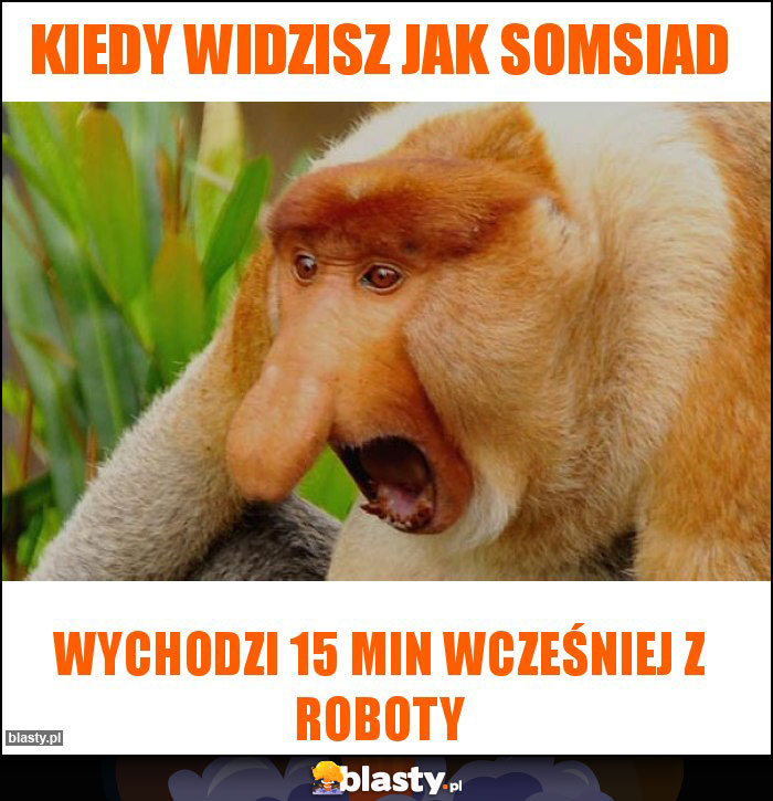 Kiedy widzisz jak somsiad