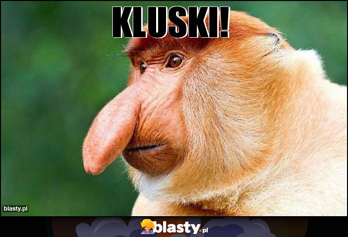 Kluski!