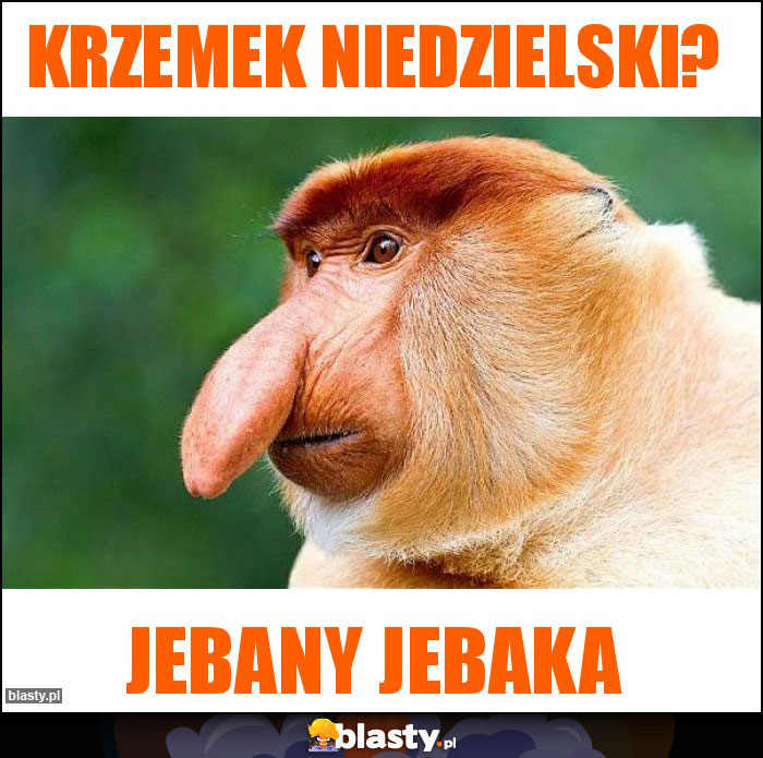 krzemek Niedzielski?