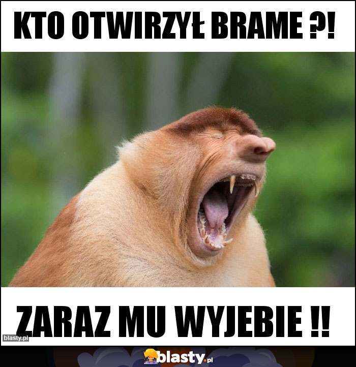 KTO OTWIRZYŁ BRAME ?!