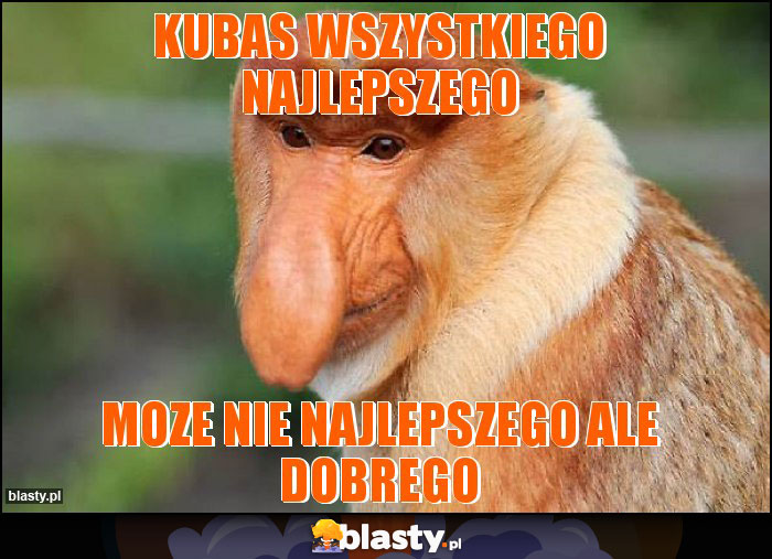 Kubas Wszystkiego najlepszego