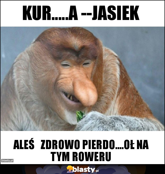 Kur.....a --Jasiek