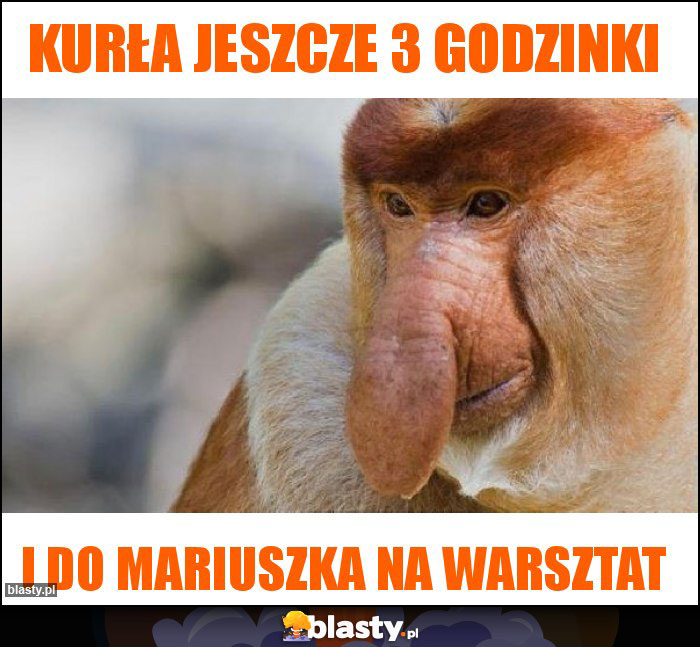 Kurła jeszcze 3 godzinki