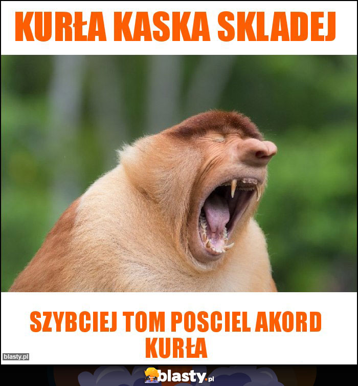 Kurła kaska skladej