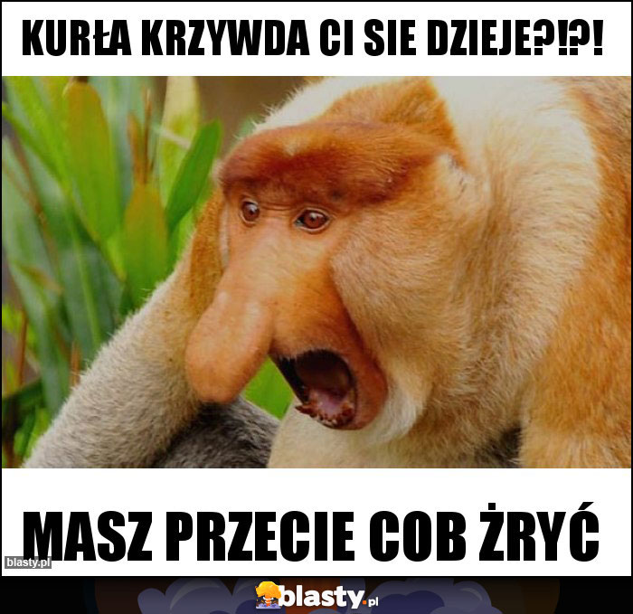 Kurła krzywda ci sie dzieje?!?!