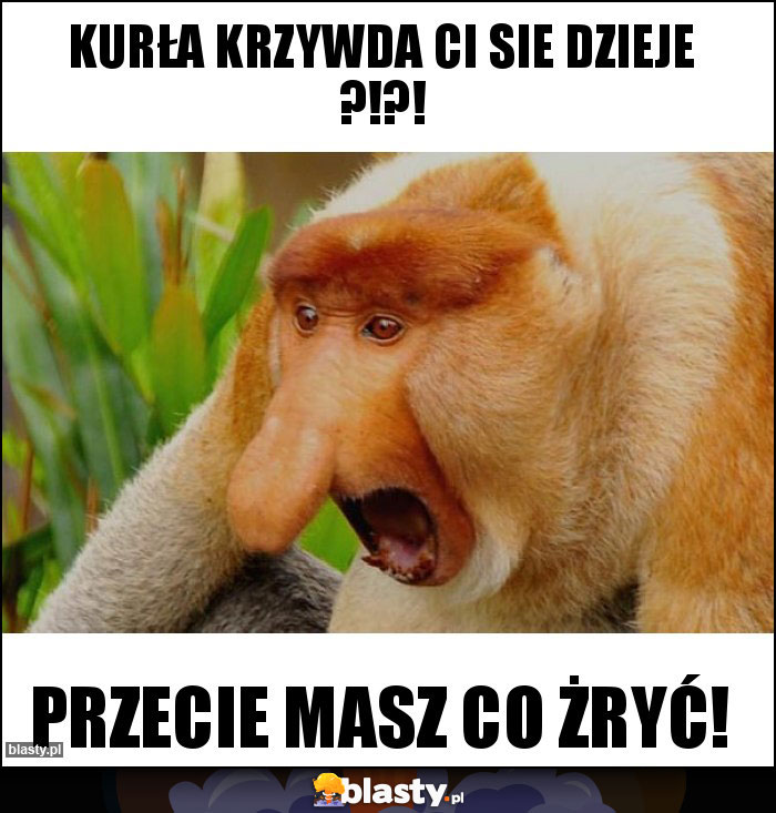 Kurła krzywda ci sie dzieje ?!?!