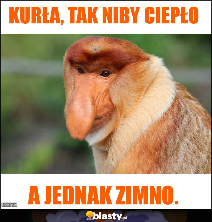 Kurła, tak niby ciepło