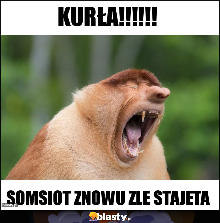 Kurła!!!!!!