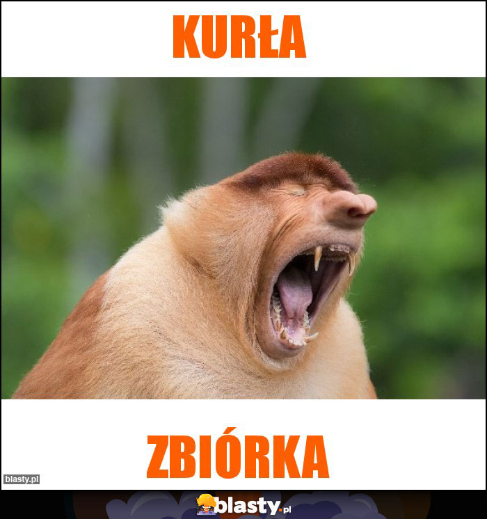 Kurła