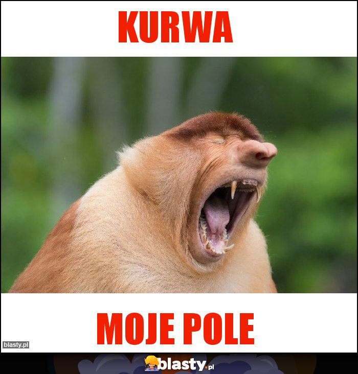 Kurwa