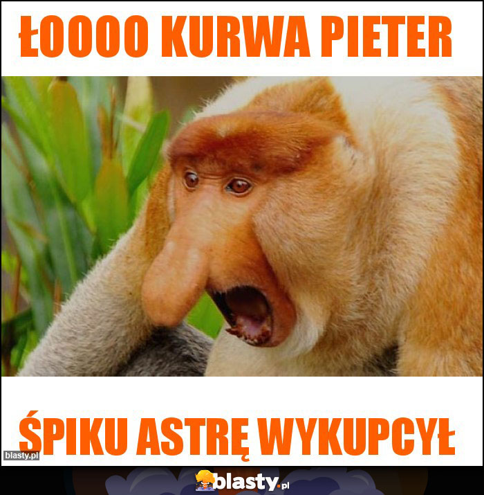 Łoooo kurwa Pieter