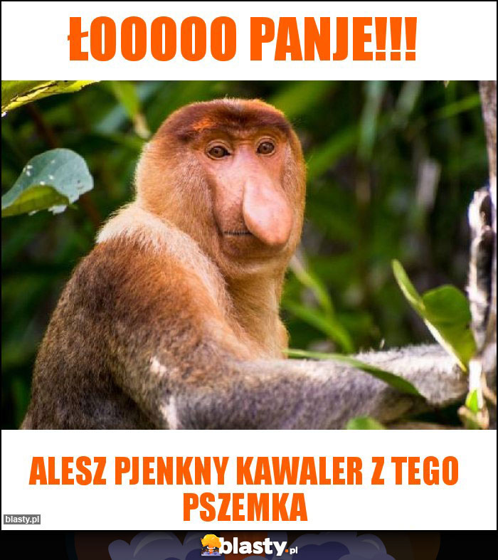 Łooooo panje!!!