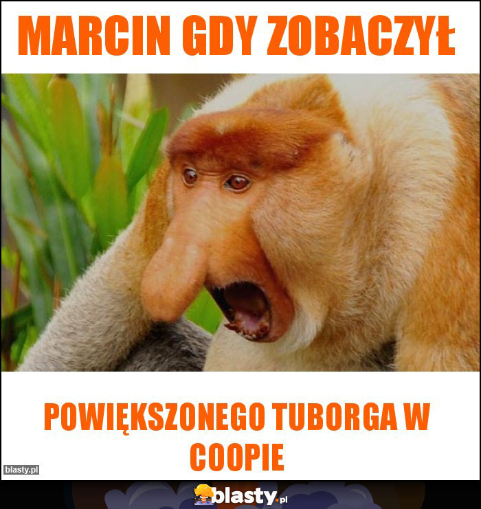 Marcin gdy zobaczył