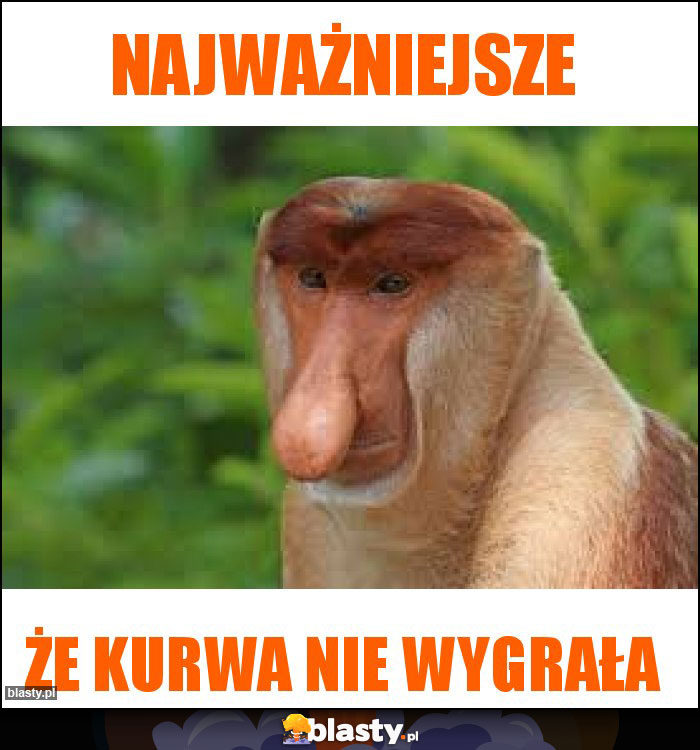 NAJWAŻNIEJSZE