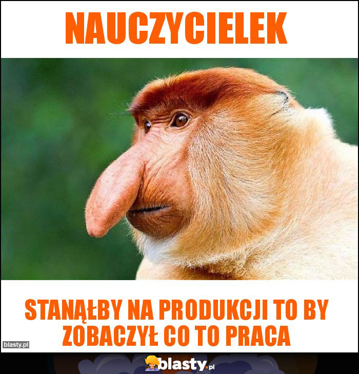 nauczycielek