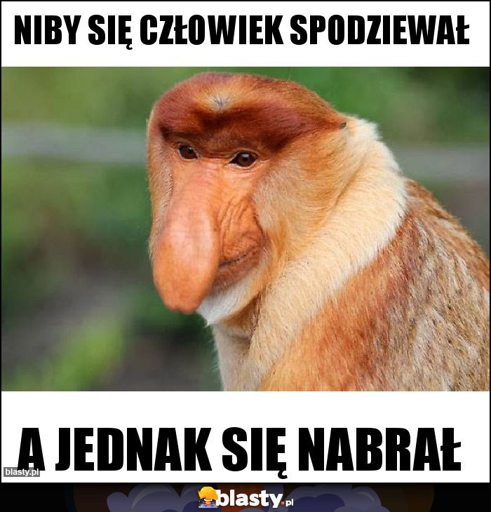 Niby się człowiek spodziewał