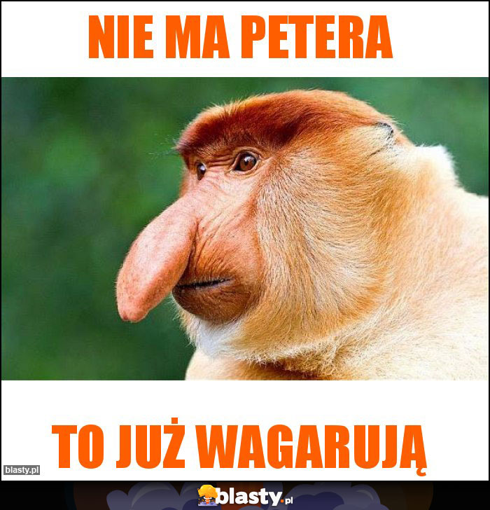 Nie ma Petera