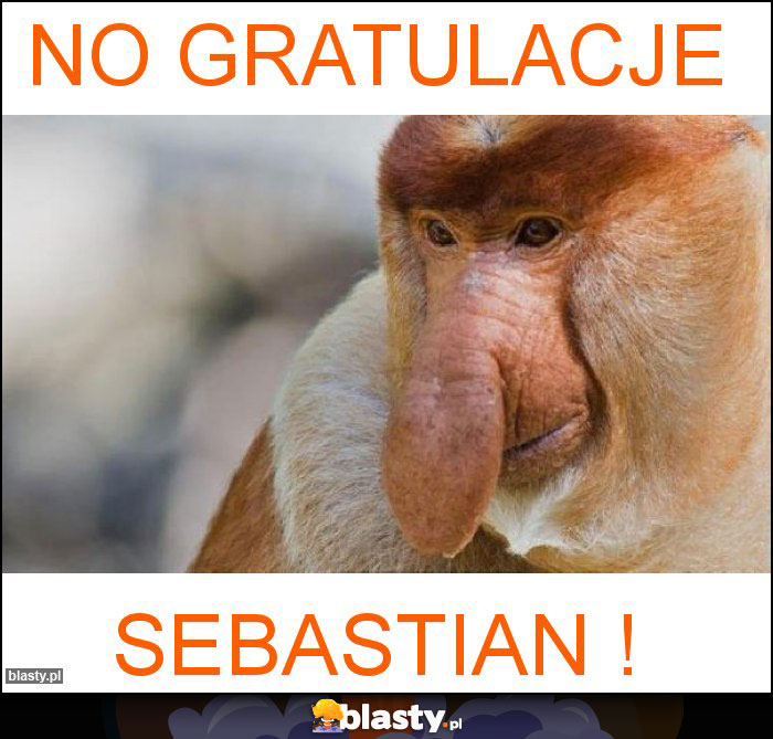 No Gratulacje