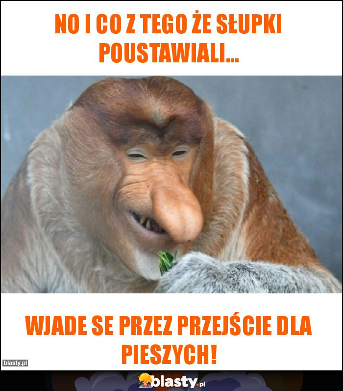 NO I CO Z TEGO ŻE SŁUPKI POUSTAWIALI...